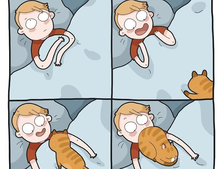 Loạt tranh vẽ vui nhộn chỉ người nuôi mèo mới hiểu