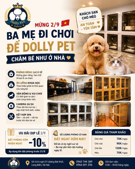 Khách Sạn Thú Cưng Uy Tín Tại Long Biên Hà Nội – Trông Giữ Chó Mèo 24/7 | DollyPet