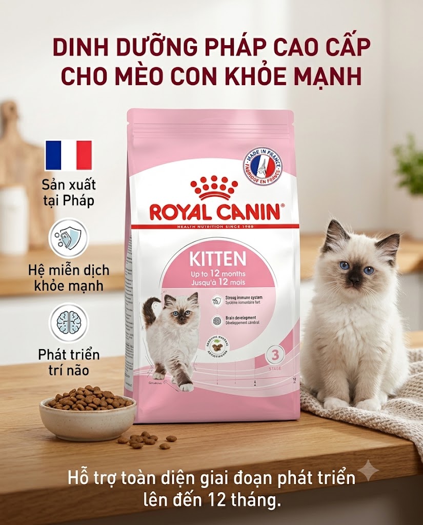 Royal Canin KITTEN 2kg Dành cho mèo con