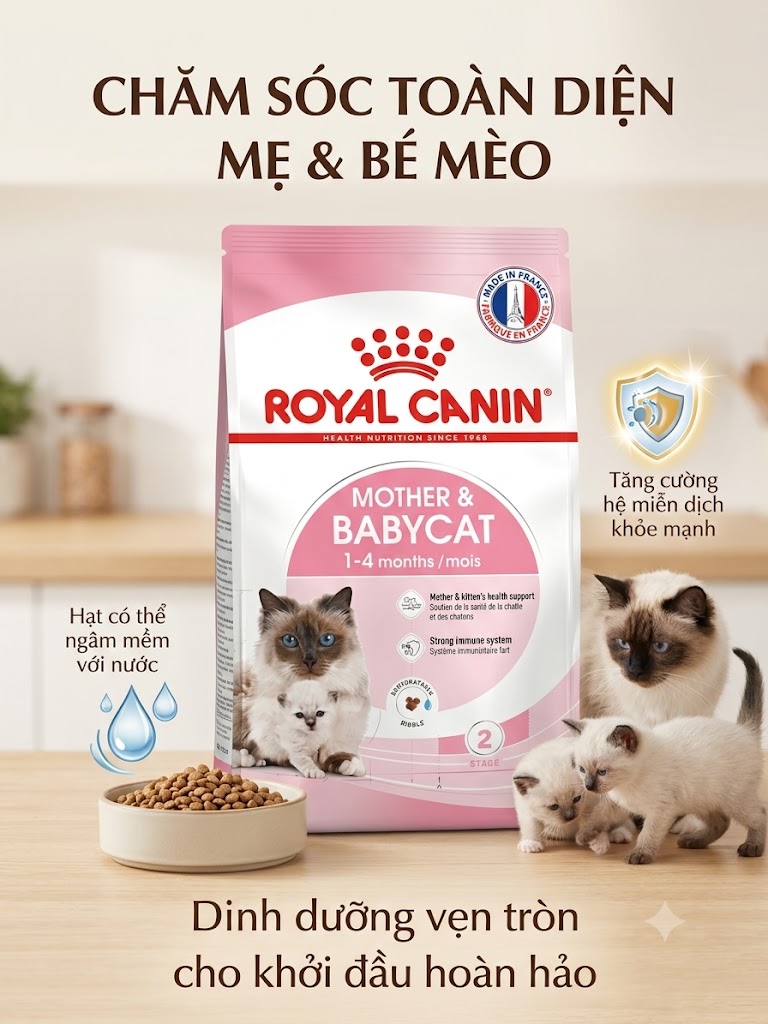 Royal Canin Mother Babycat Stage 2 Bao 2kg chính hãng!
